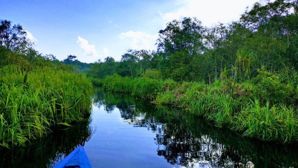 Kalimantan is a large island and travelling around it can be difficult, due to there being few inland roads. 