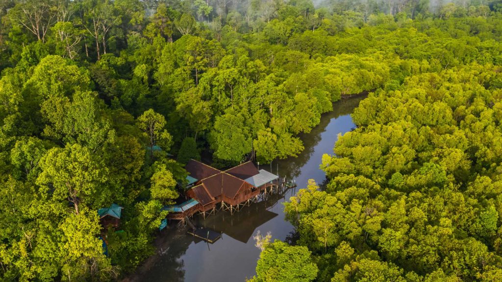 the island of Borneo which is split between Malaysia, Brunei and Indonesia.