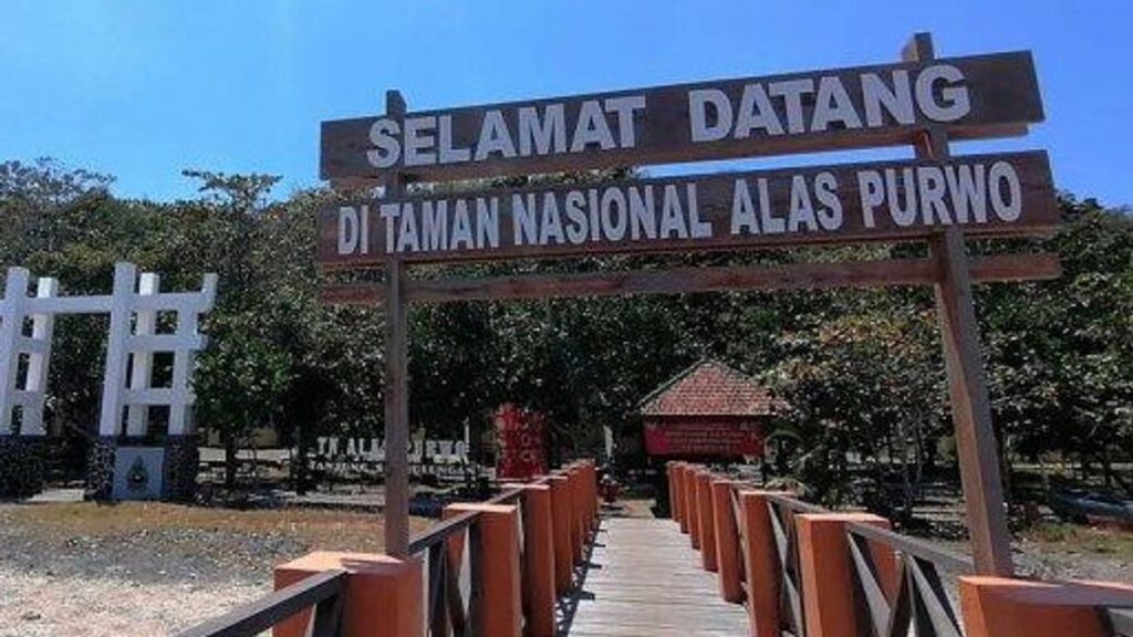 Entrance sign and wooden pathway at Alas Purwo National Park under a clear blue sky. Text on the sign reads "Selamat Datang di Taman Nasional Alas Purwo" in Indonesian. Trees are visible in the background, highlighting one of the best things to do in Banyuwangi.