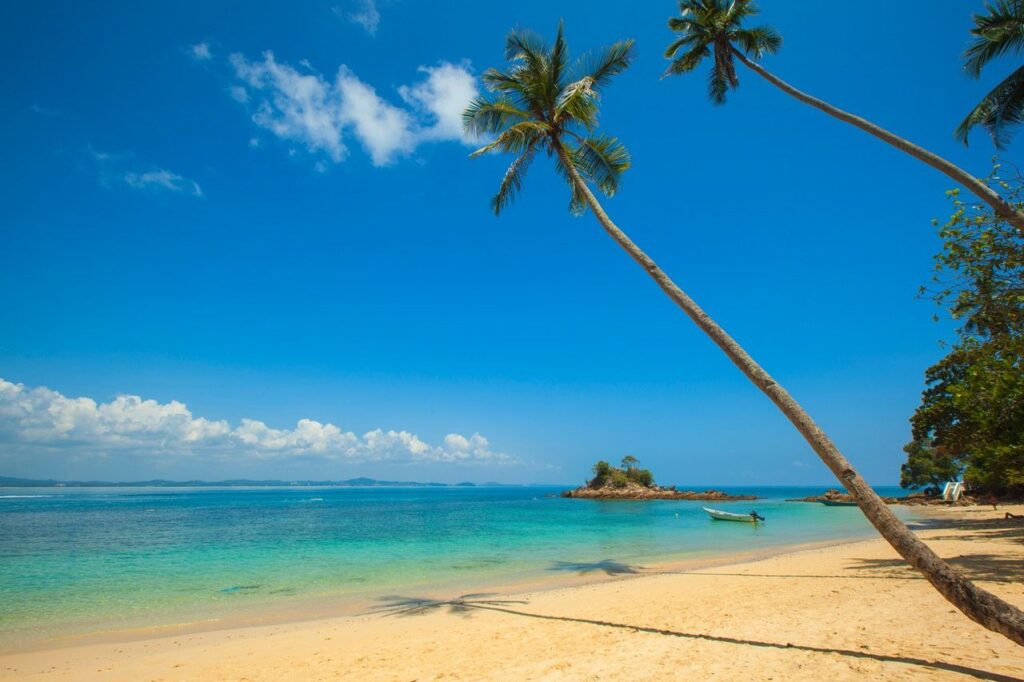 A tropical beach in Banyuwangi with clear blue water, white sandy shore, and tall palm trees. A small boat is anchored near the shore under a bright blue sky with scattered clouds. Enjoy the serene beauty and discover exciting things to do in Banyuwangi.