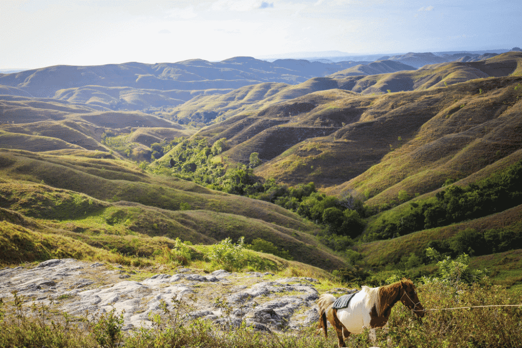 Best Road Trips in Indonesia Sumba
